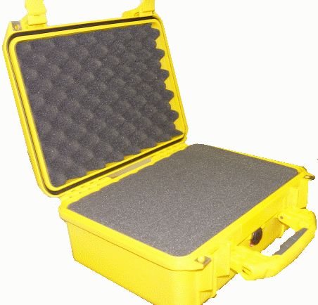  406330174   PELI 1450