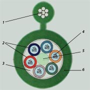   48 -10-01-0,22-48 (9.0)  