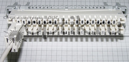    2/4, 4-,   LSA-PLUS    d=4 ,   , 6 