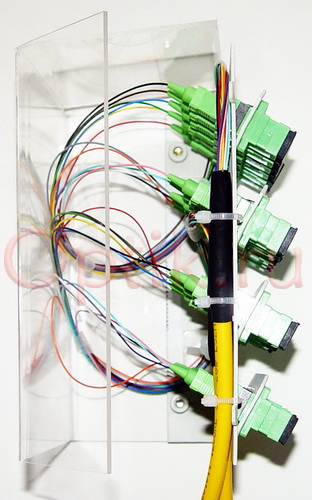 Кассета 24 SCA TT-ODF с пыльником, в сборе 24пиг 24SCA ШТЗ Кассета 24 SCA TT-ODF с пыльником, в сборе 24пиг 24SCA ШТЗ